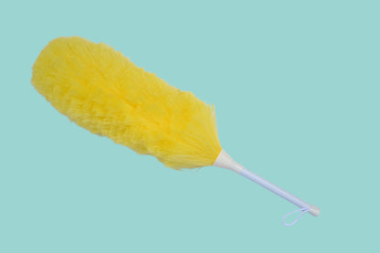 ZAPPIE ZAP DUSTER